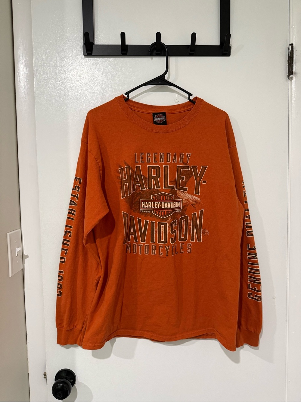 Harley-Davidson Men's Orange Long-Sleeve Graphic Shirt